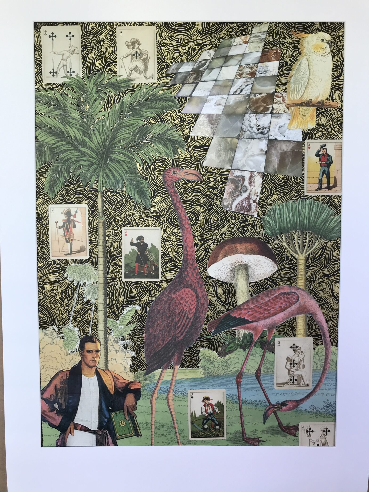 Collage of man, flamingos, palms