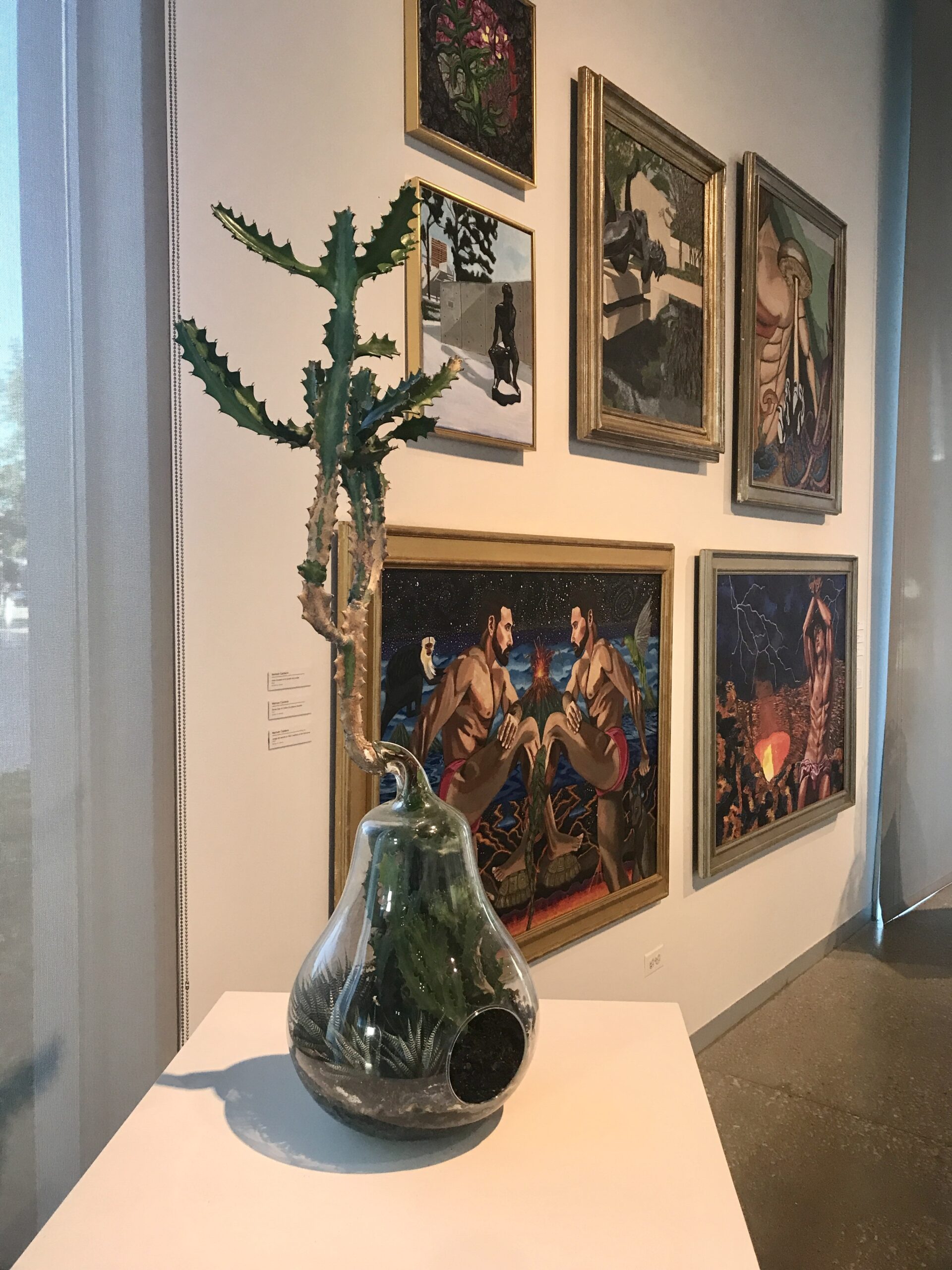 Terrariums, paintings featured at the Museum of Fine Arts Houston